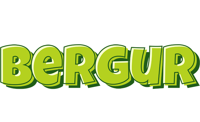 Bergur summer logo