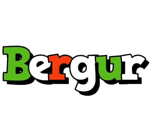 Bergur venezia logo
