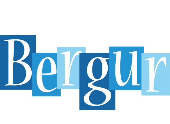 Bergur winter logo