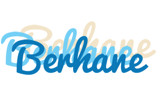 Berhane breeze logo