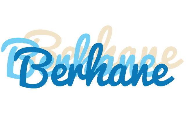 Berhane breeze logo