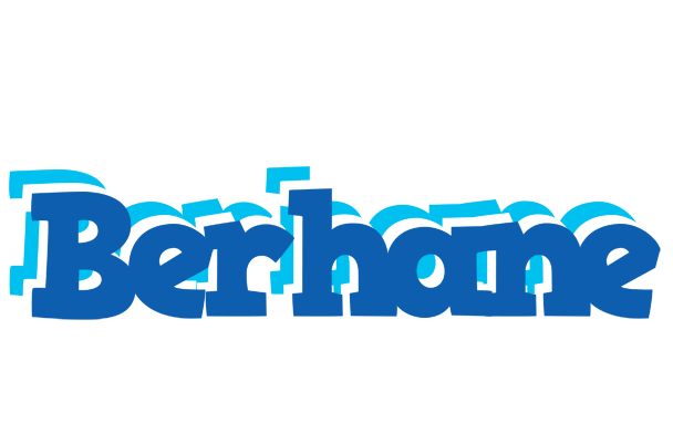 Berhane business logo