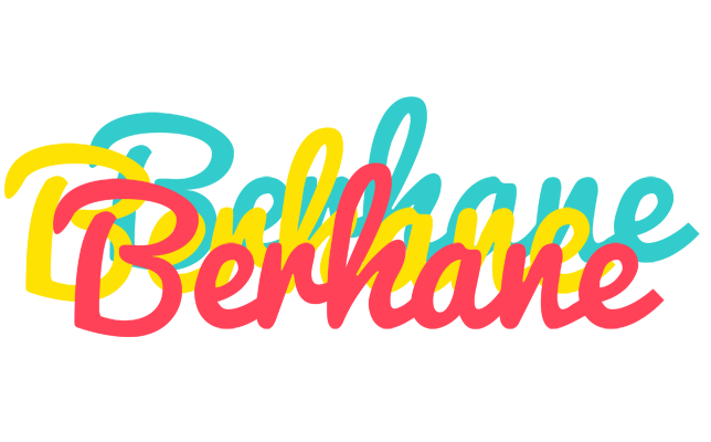 Berhane disco logo
