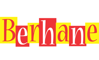 Berhane errors logo