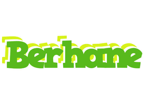 Berhane picnic logo