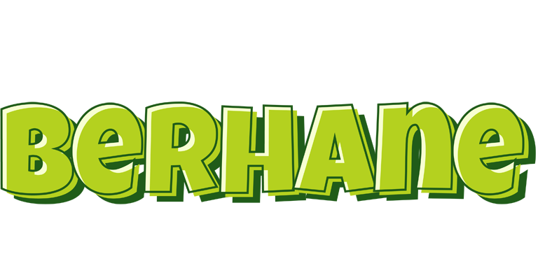 Berhane summer logo