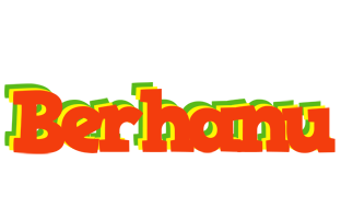 Berhanu bbq logo