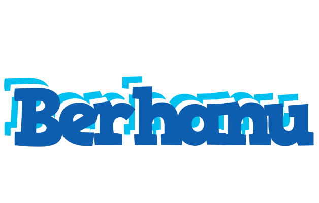Berhanu business logo