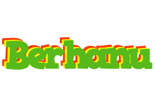 Berhanu crocodile logo