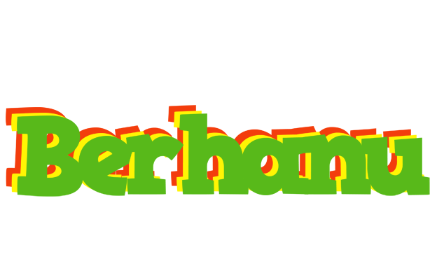 Berhanu crocodile logo