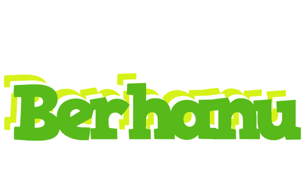 Berhanu picnic logo