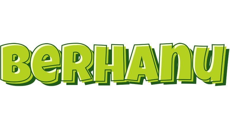 Berhanu summer logo