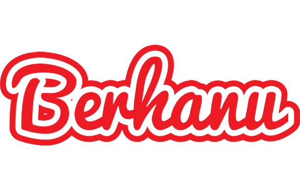 Berhanu sunshine logo