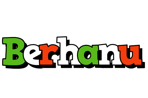 Berhanu venezia logo