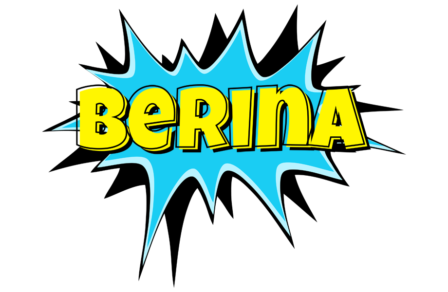 Berina amazing logo