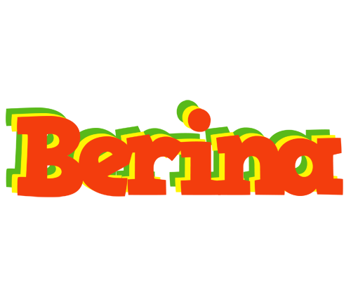 Berina bbq logo