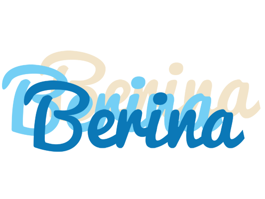 Berina breeze logo