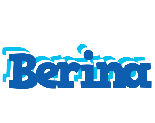 Berina business logo