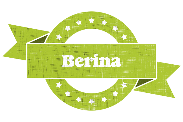 Berina change logo