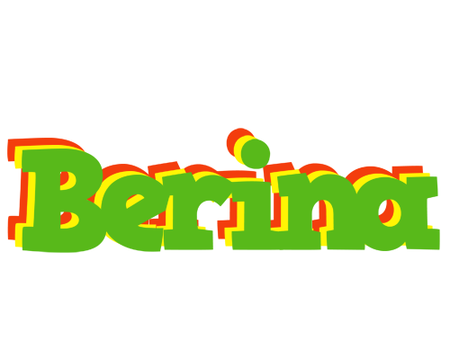Berina crocodile logo