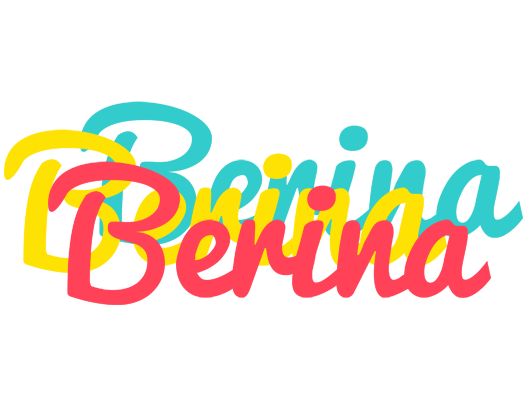 Berina disco logo