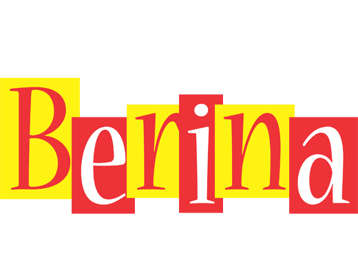 Berina errors logo