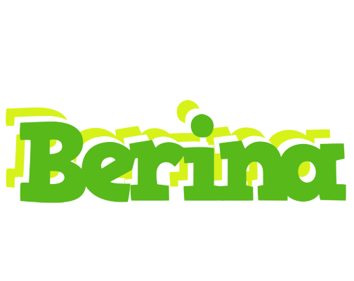 Berina picnic logo