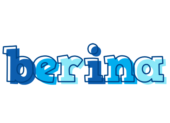 Berina sailor logo