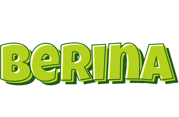 Berina summer logo