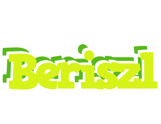 Beriszl citrus logo