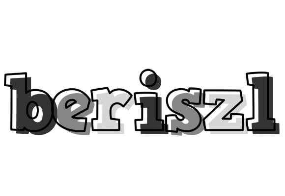 Beriszl night logo