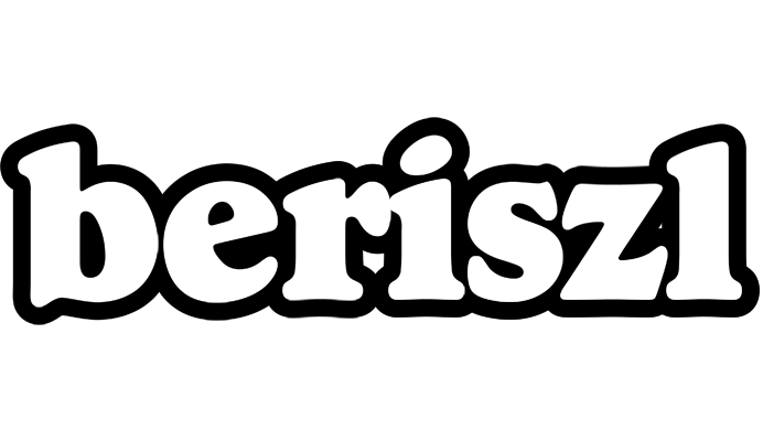 Beriszl panda logo