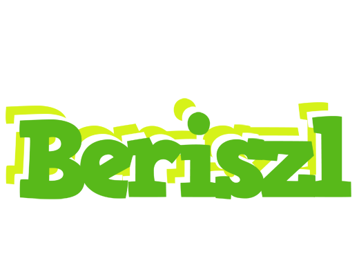 Beriszl picnic logo