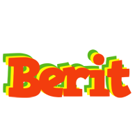 Berit bbq logo