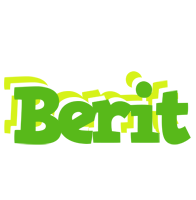 Berit picnic logo