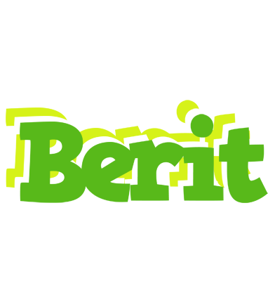Berit picnic logo