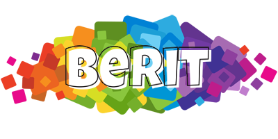 Berit pixels logo