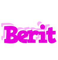 Berit rumba logo