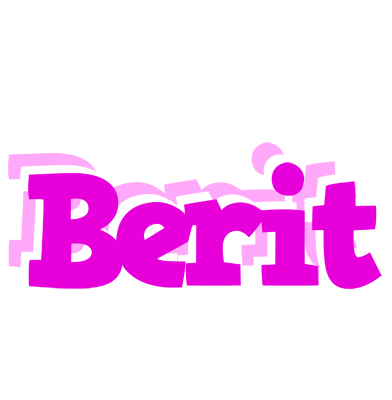 Berit rumba logo