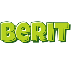 Berit summer logo