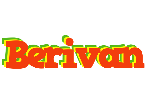 Berivan bbq logo