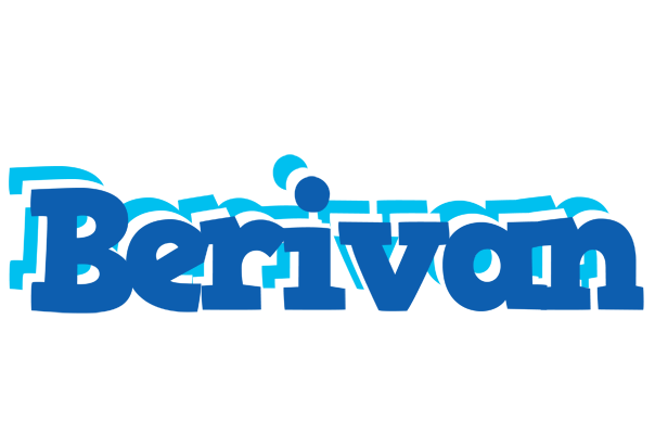 Berivan business logo