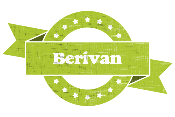 Berivan change logo