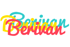 Berivan disco logo