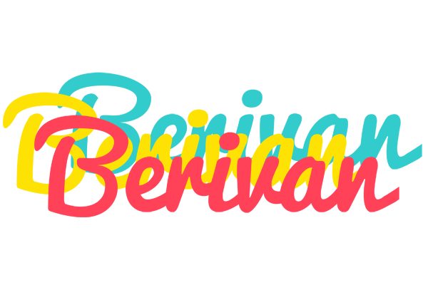 Berivan disco logo
