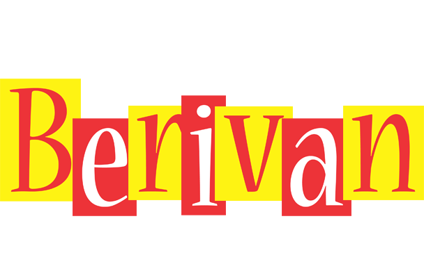 Berivan errors logo
