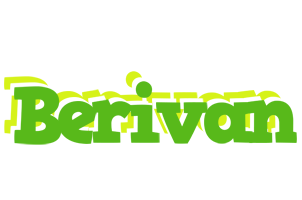 Berivan picnic logo