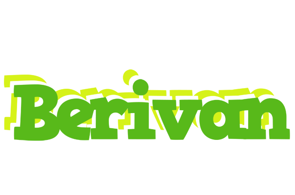 Berivan picnic logo