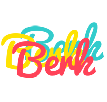 Berk disco logo