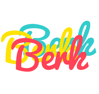 Berk disco logo